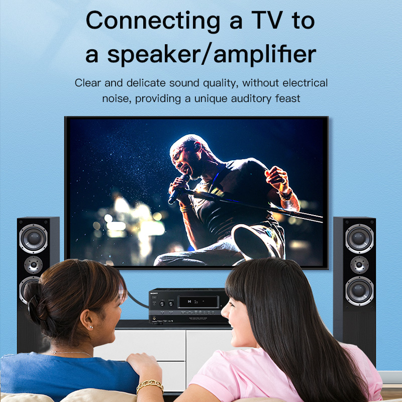 CHOSEAL RCA Cable Digital Coax - огляд і ціна Home Cinema Installation